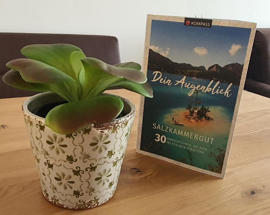 Luxurioeses Apartment Mit Garten & Terrasse In Der Naehe Vom See Im Schoenen Salzkammergut Gmunden Buitenkant foto